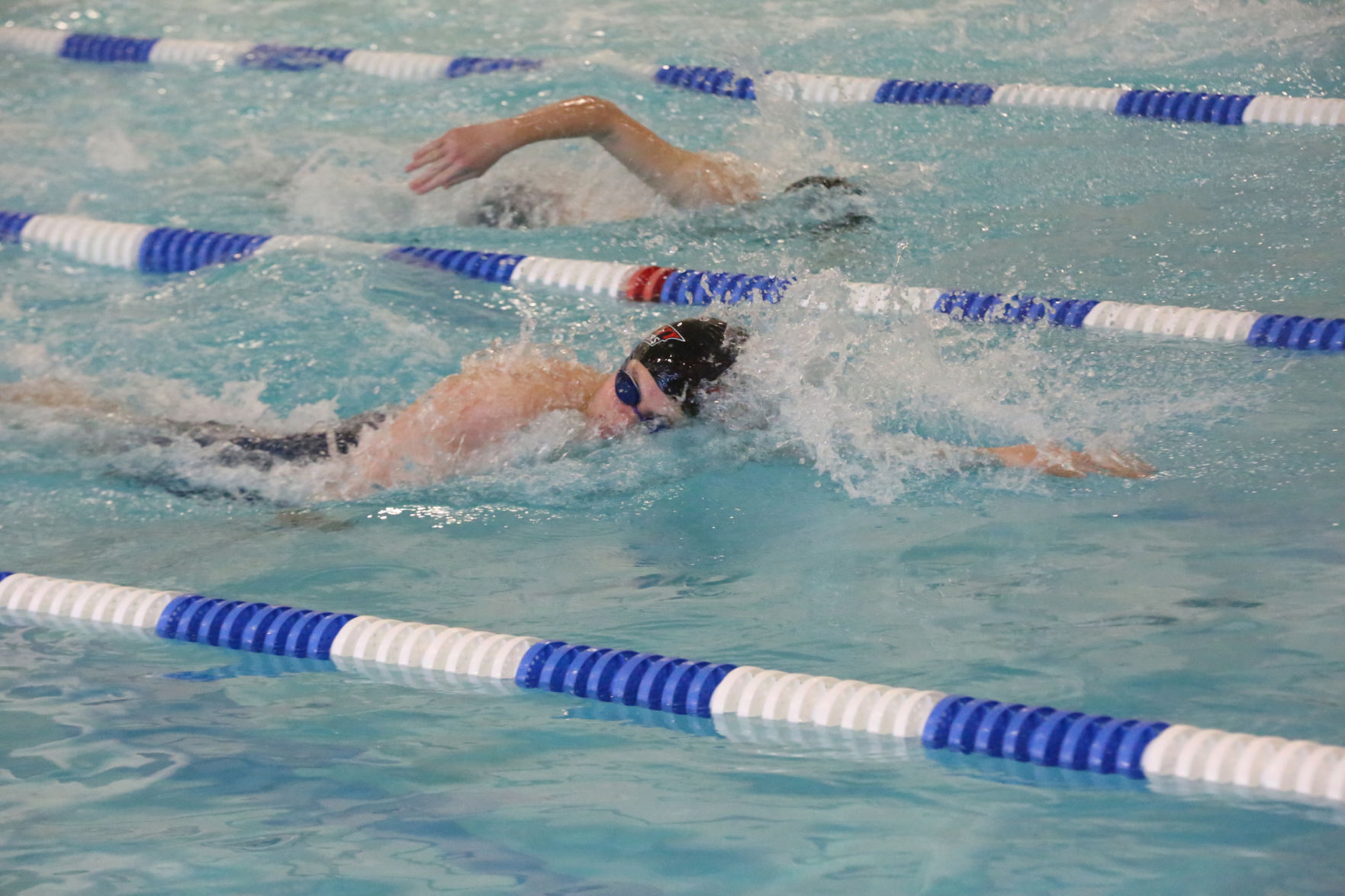 Ocean City Ridley Swimming